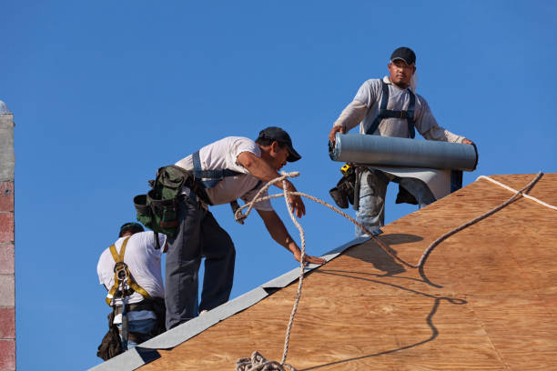 Best Flat Roof Repair Services  in Doral, FL